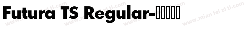 Futura TS Regular字体转换